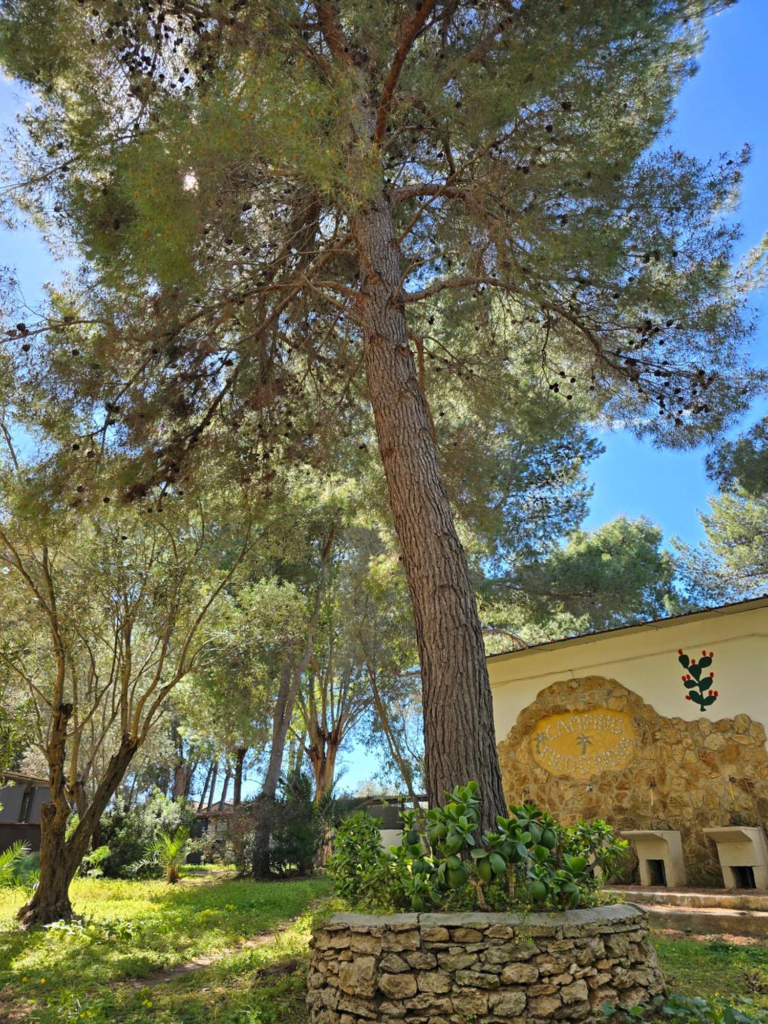 菲科迪印度露营地 Ovile la Marina 外观 照片